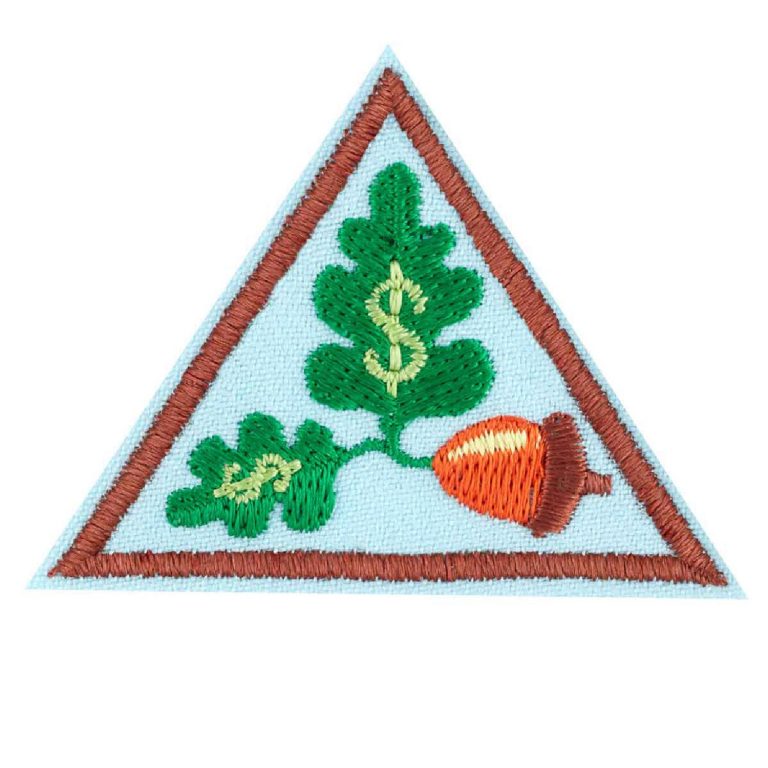 Girl Scouts of Greater Chicago and Northwest Indiana My Own Budget