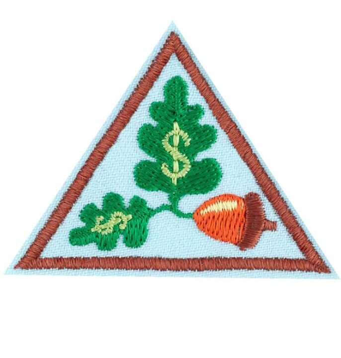 My Own Budget Brownie Badge
