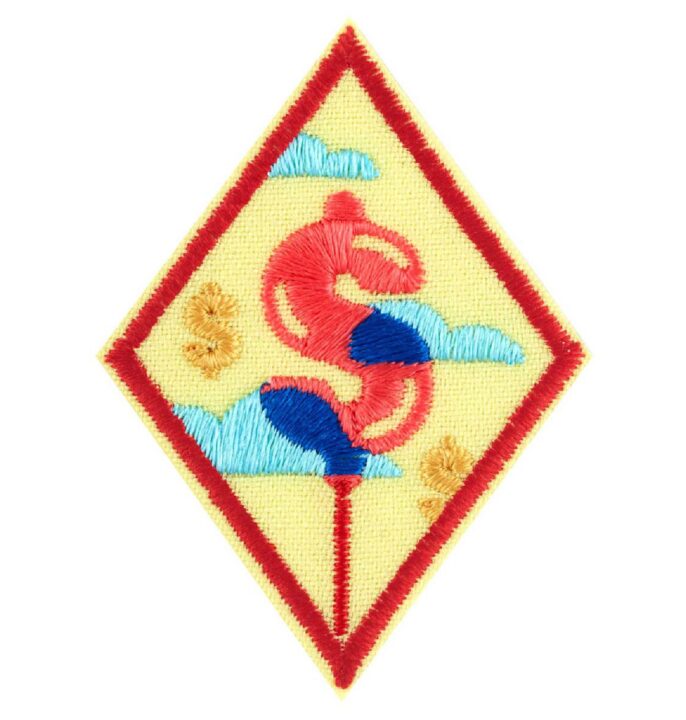 My Dream Budget Cadette Badge