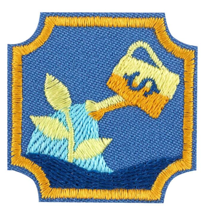 Financial Planner Ambassador Badge