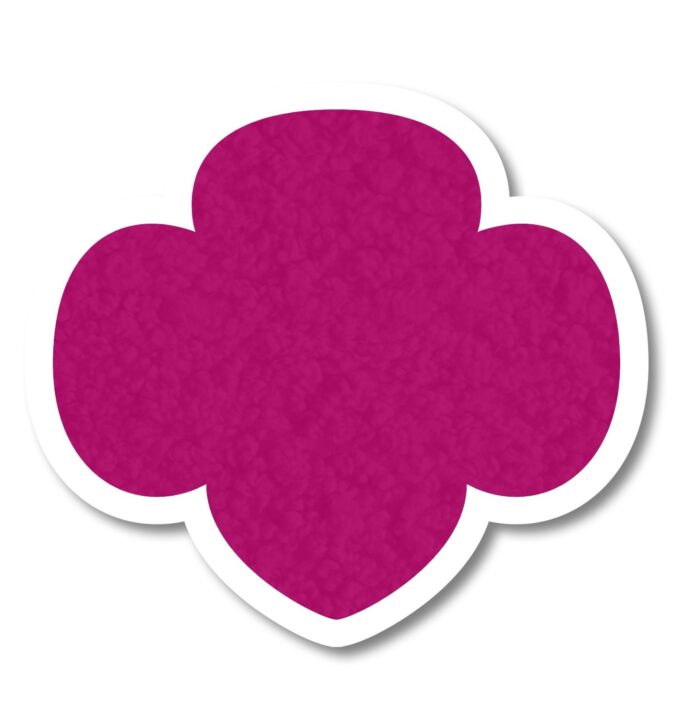 Chenille Trefoil Patch