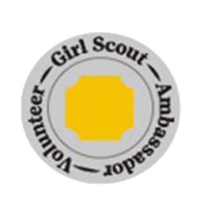 Ambassador Volunteer Pin
