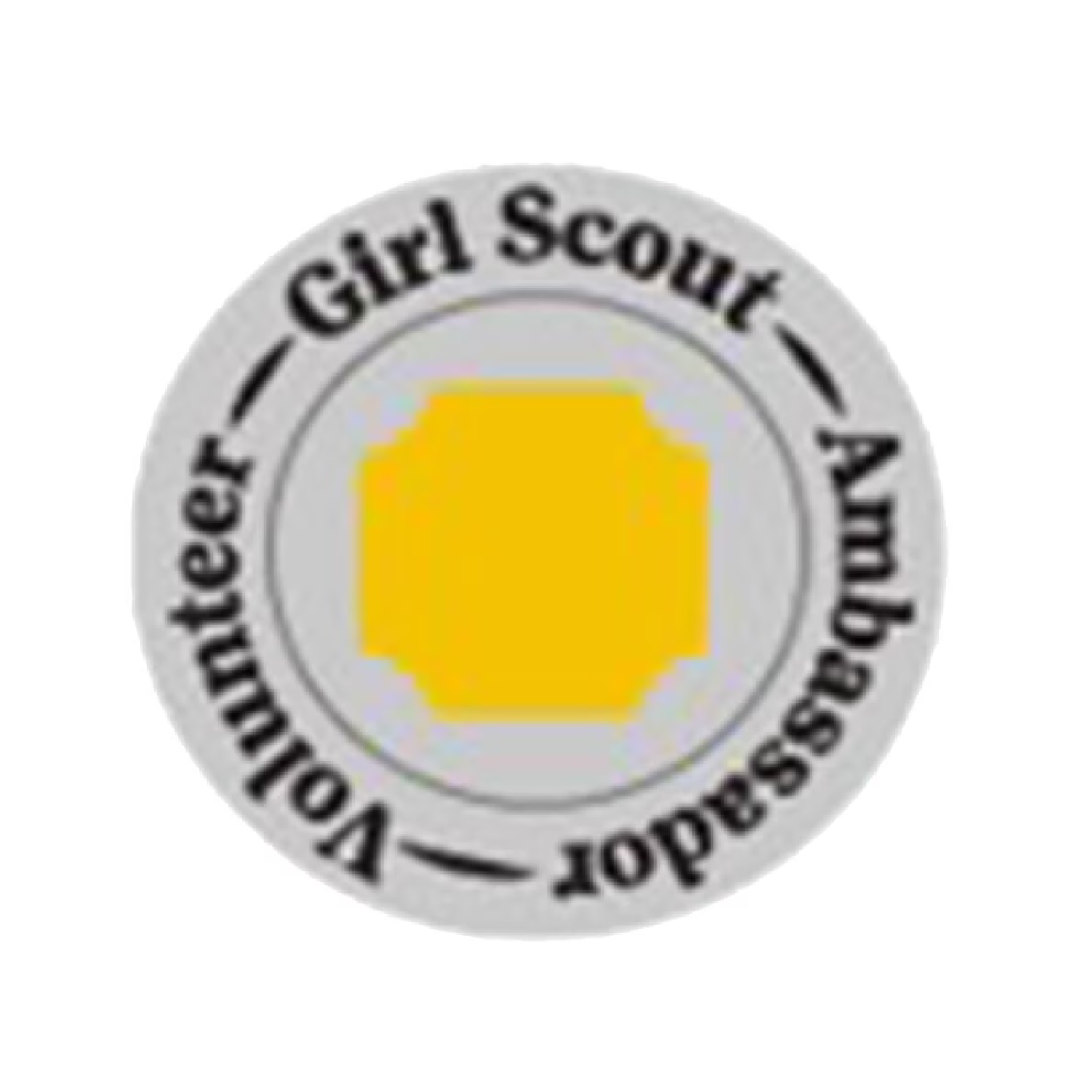 Ambassador Volunteer Pin