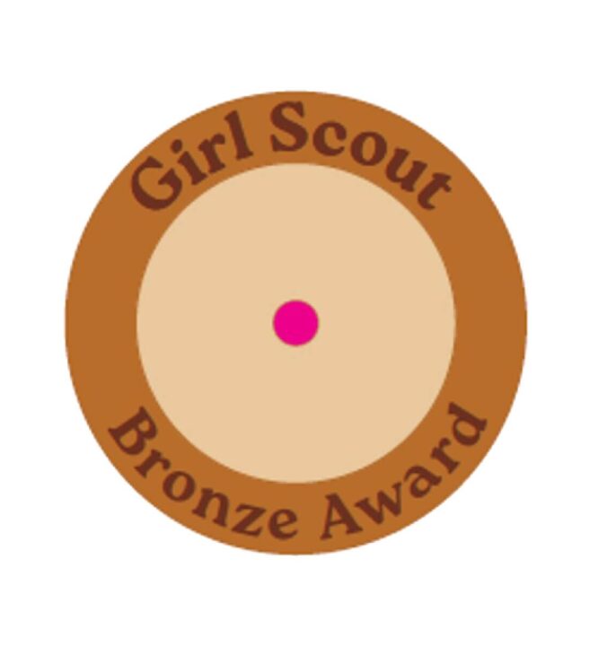 Bronze Award Disc Back