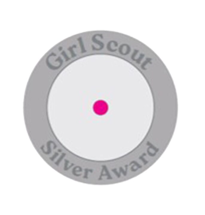 Silver Award Disc Back