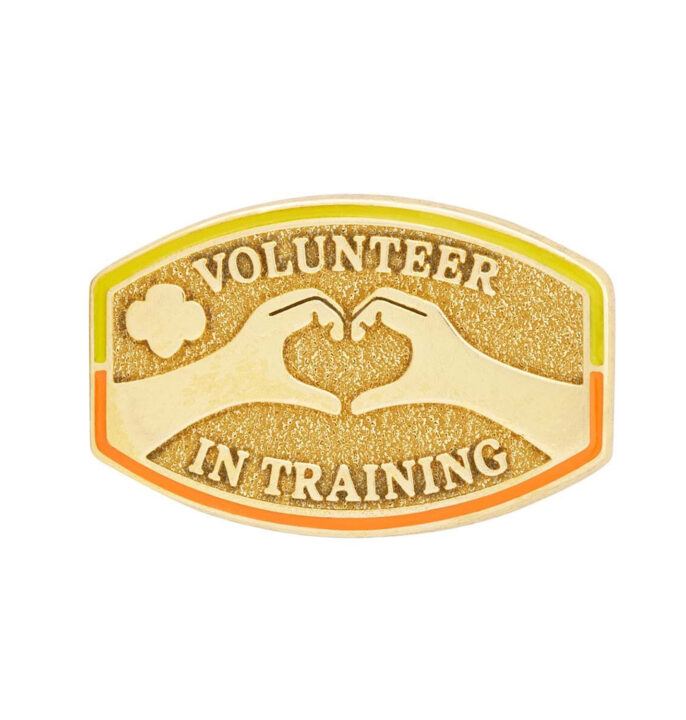 Volunteer in Training 1 Award