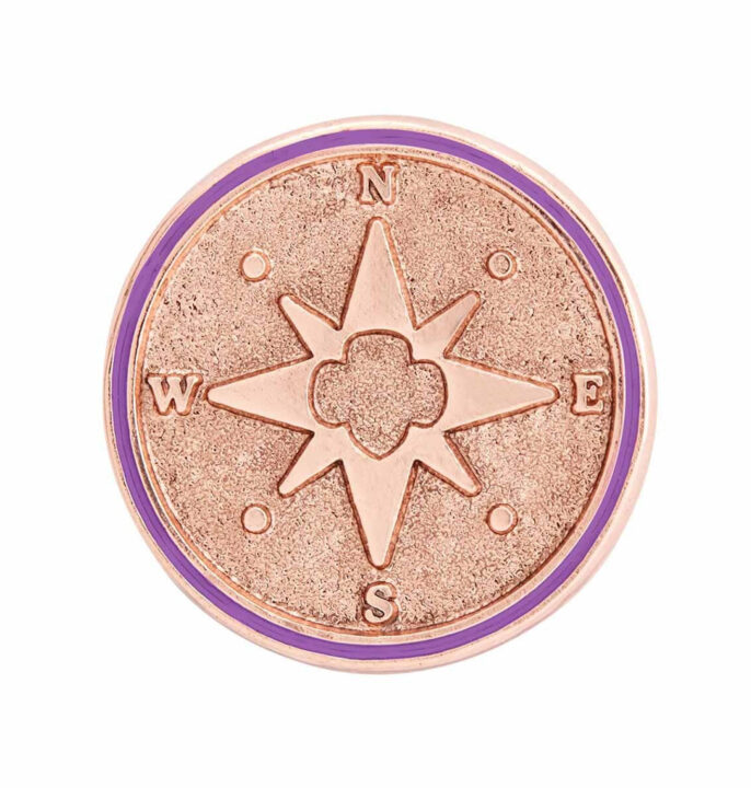 Junior True North Award Pin
