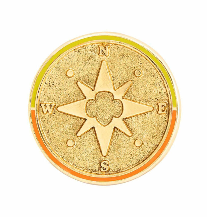 Sr/Amb True North Award Pin