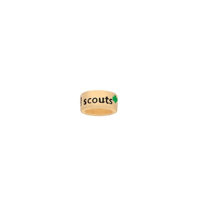 Gold Logo Slider Charm