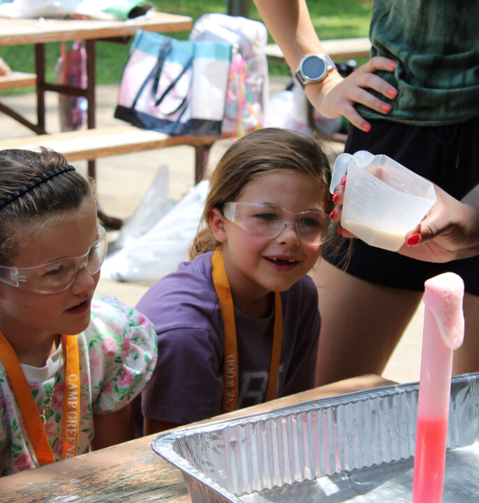 Gift of One Week Day Camp (Daisy and Brownie)