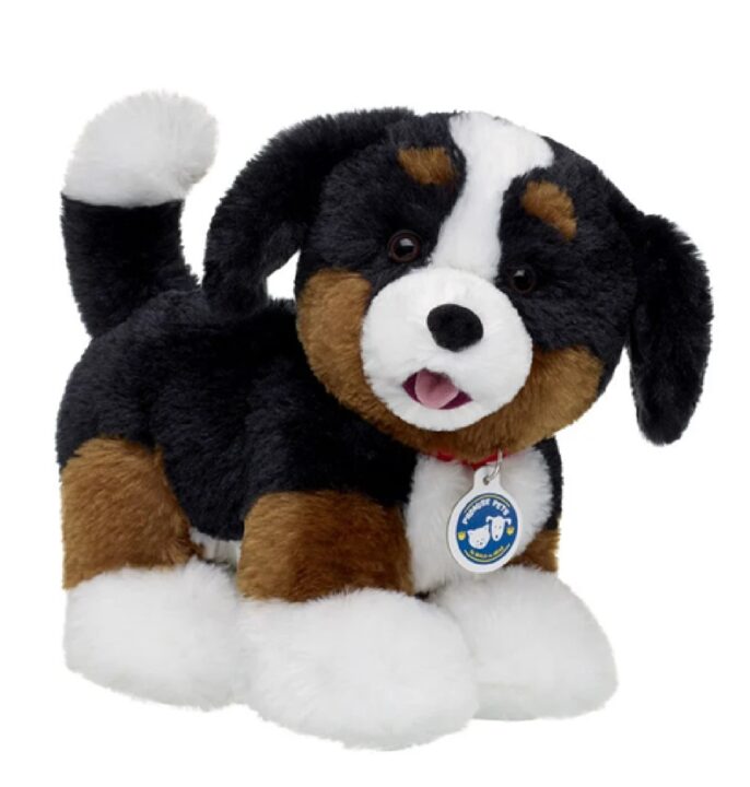 BAB Bernese Mountain Dog