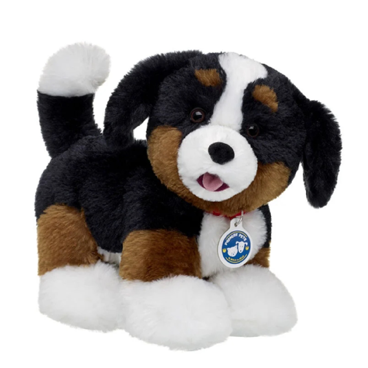 BAB Bernese Mountain Dog