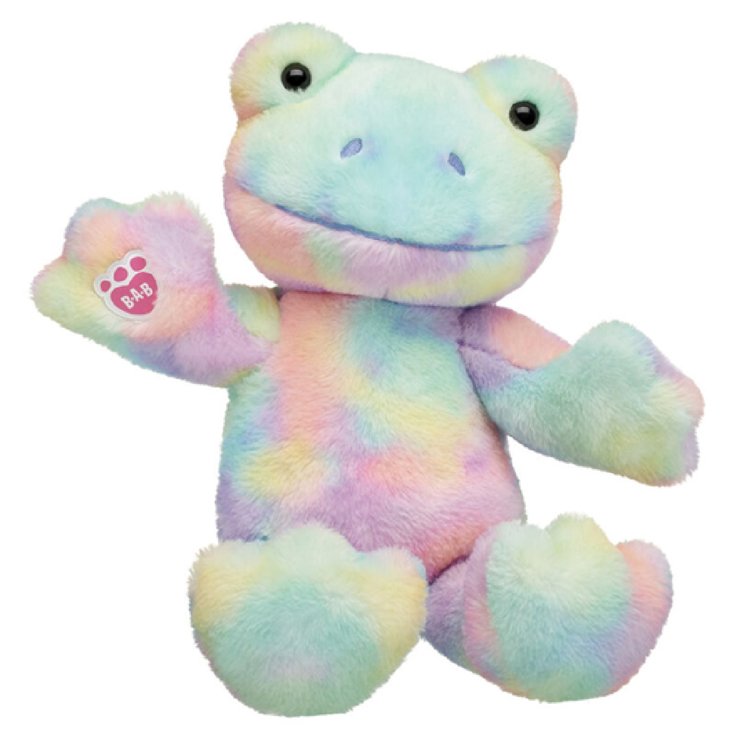 BAB Tie Dye Frog