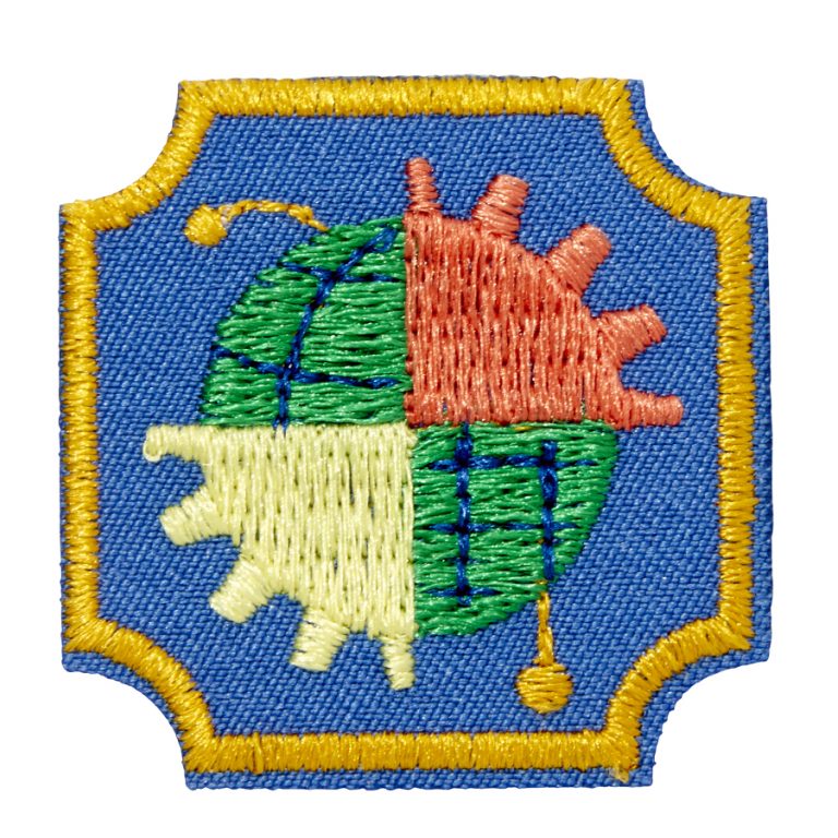 Girl Scouts of Greater Chicago and Northwest Indiana Think Like A