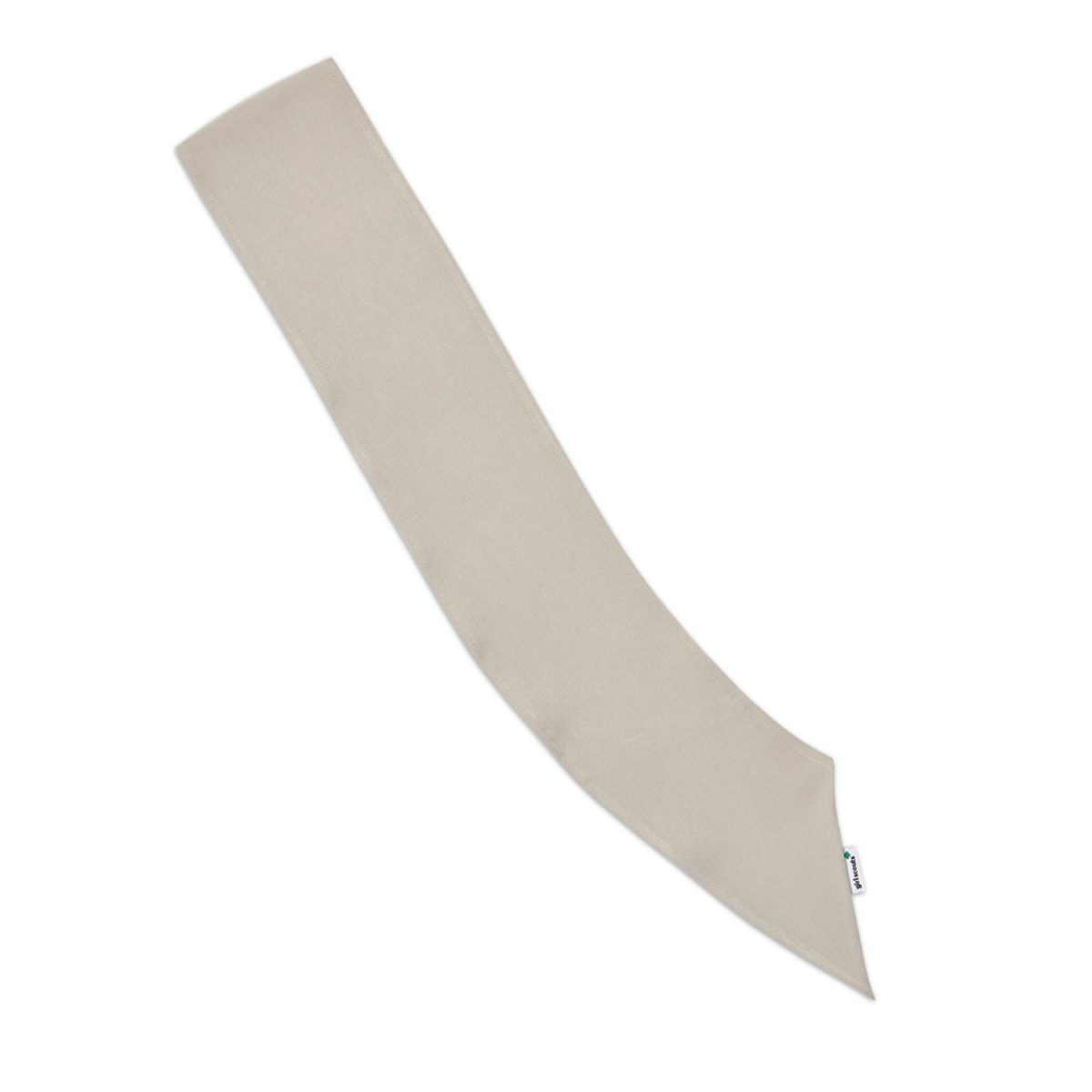 Girl Scouts of Greater Chicago and Northwest Indiana Cadette/Senior