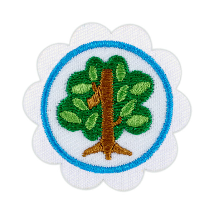Shapes in Nature Daisy Badge