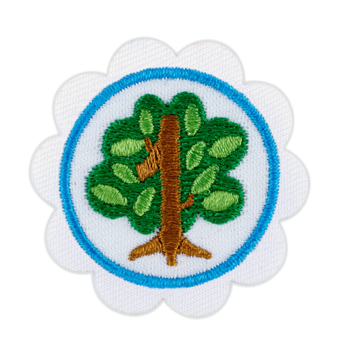 Shapes in Nature Daisy Badge