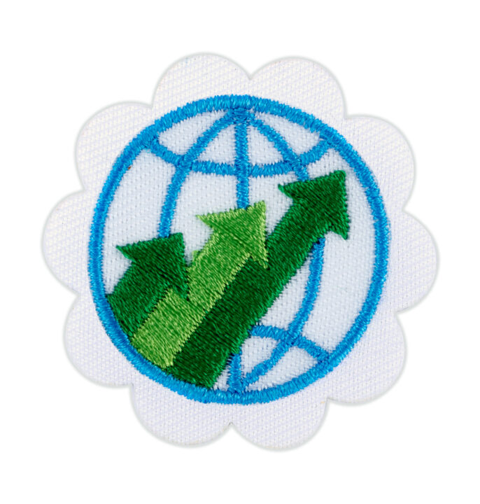 Global Action Award Year 1 Daisy Badge