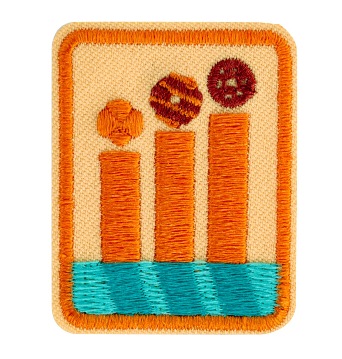 Cookie Boss Senior Badge