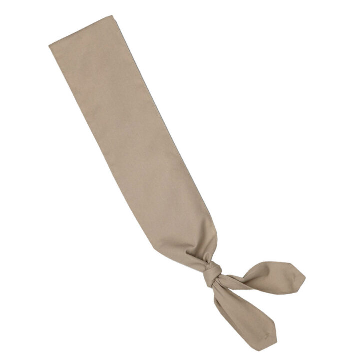 Cadette, Senior Or Ambassador Sash