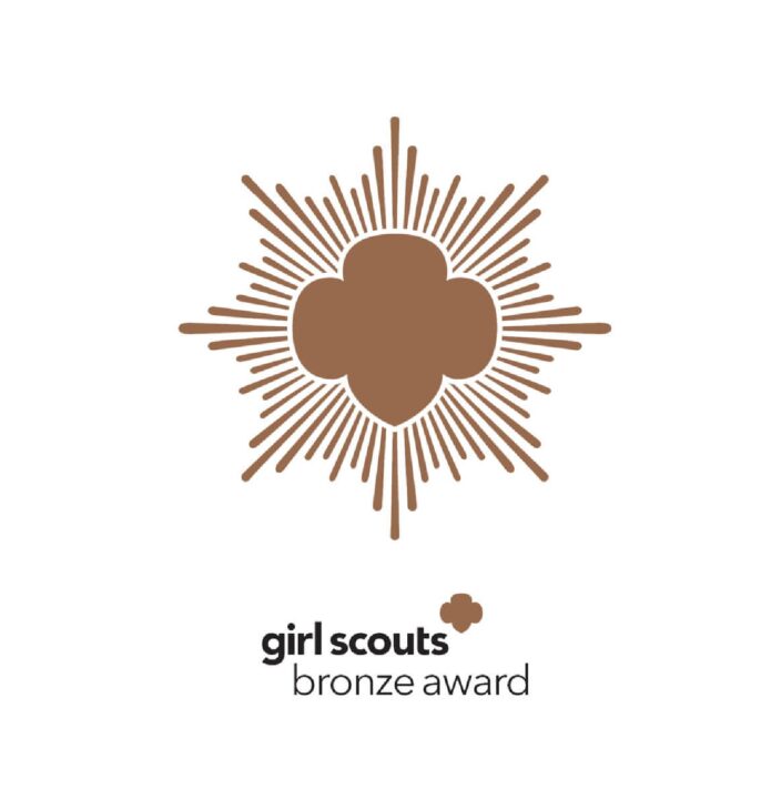 Bronze Award Window Decal
