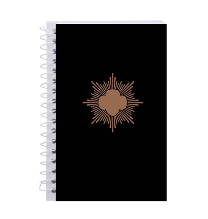 Bronze Award Journal
